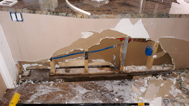 Best Flooded house restoration  in Onalaska, WI