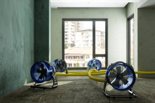 Best Water damage mitigation services  in Onalaska, WI