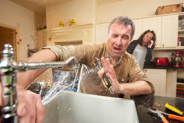 Best Basement water damage restoration  in Onalaska, WI